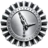 silver medal